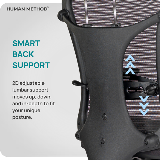 HUMAN METHOD TASK (PREMIUM) MID BACK REVOLVING CHAIR - BLACK - MAROON