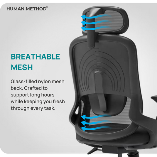 POLO HIGH BACK - JET BACK