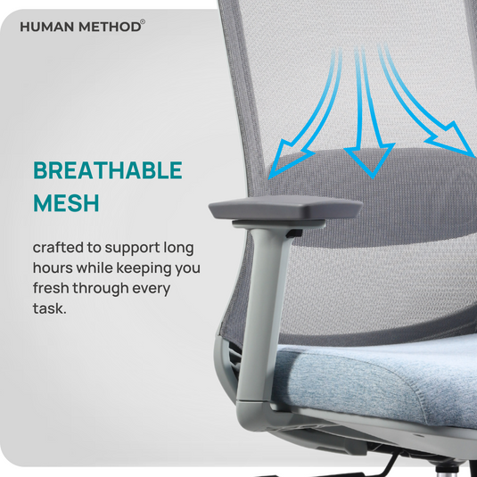NOVA HIGH BACK - GREY - BLUE