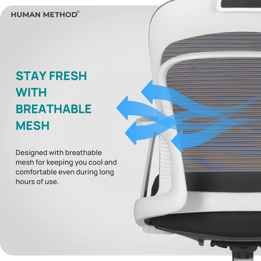 ALEX HIGH BACK - WHITE-BLACK