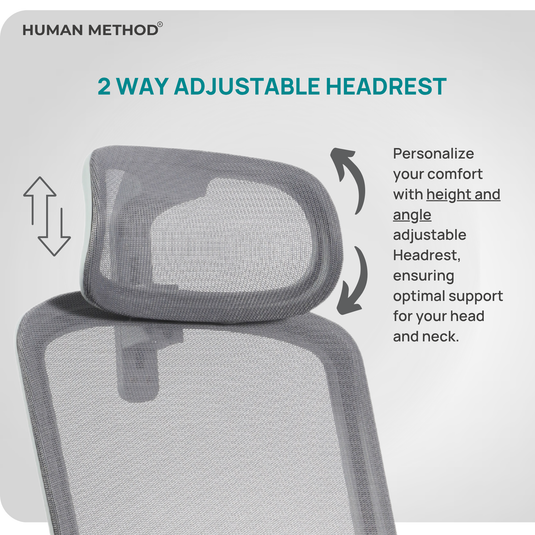 NOVA HIGH BACK - GREY - BLUE