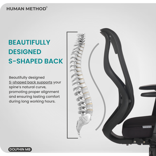 HUMAN METHOD DOLPHIN MID BACK ERGONOMIC REVOLVING OFFICE CHAIR
