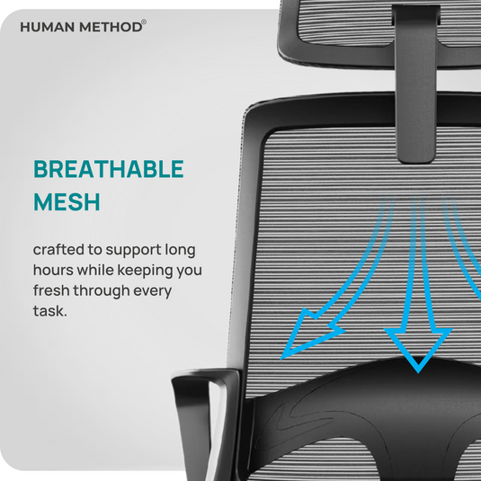 HUMAN METHOD WHALE HIGH BACK REVOLVING CHAIR - JET BLACK