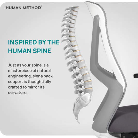 HUMAN METHOD SIENA PRO ERGONOMIC MID BACK REVOLVING OFFICE CHAIR - PLATINUM GREY