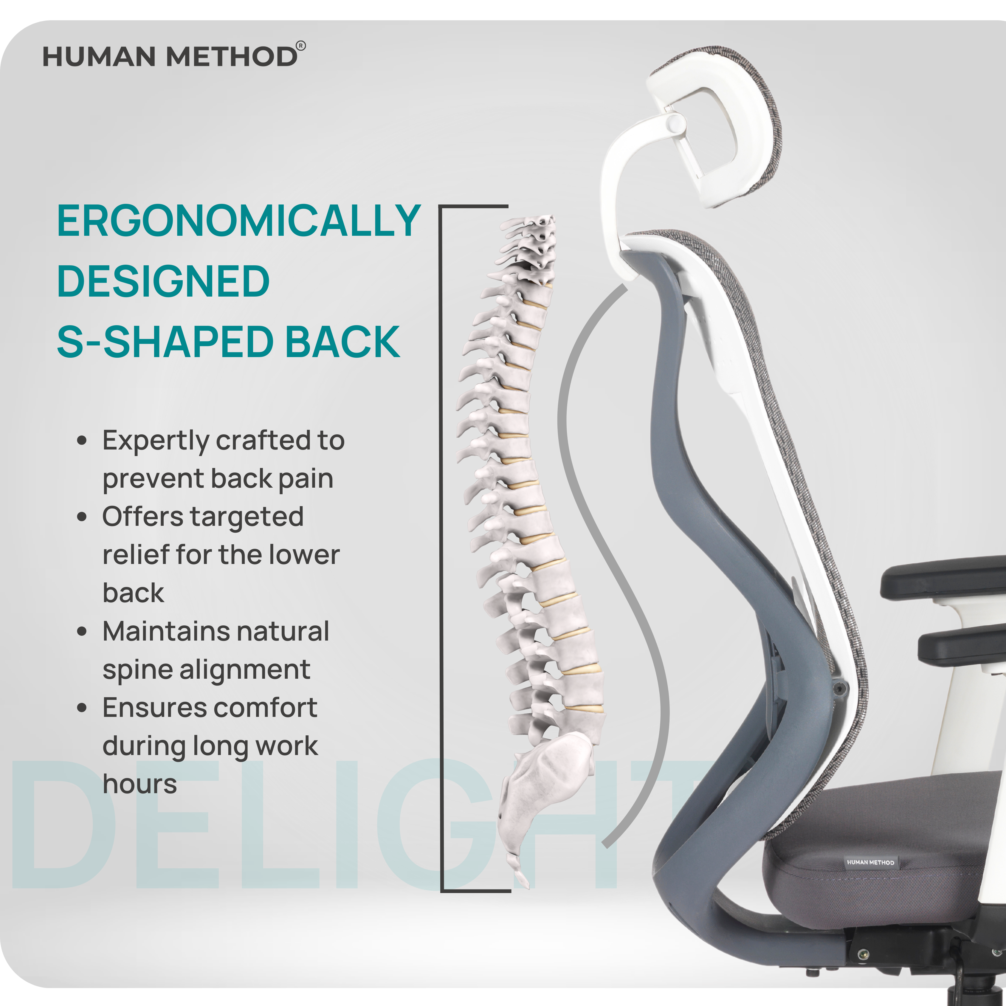 DELIGHT HIGH BACK - Main Image